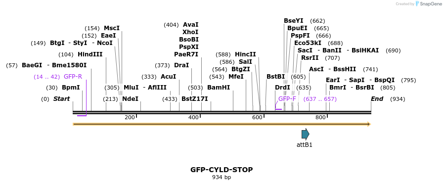 122709_map
