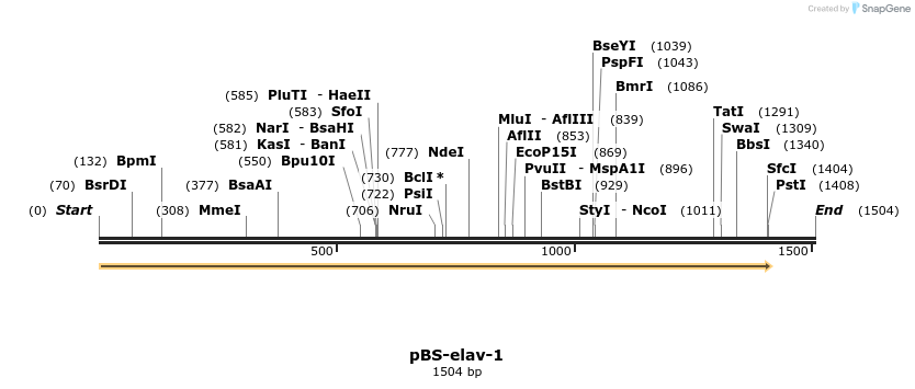 12271_map