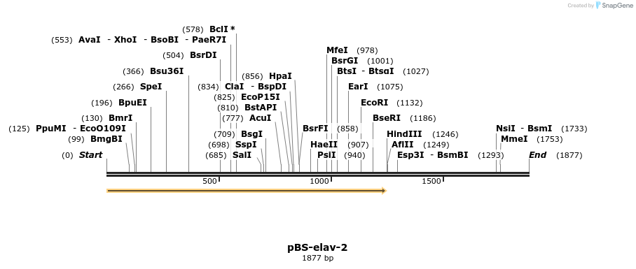 12272_map