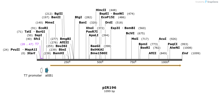 122725_map