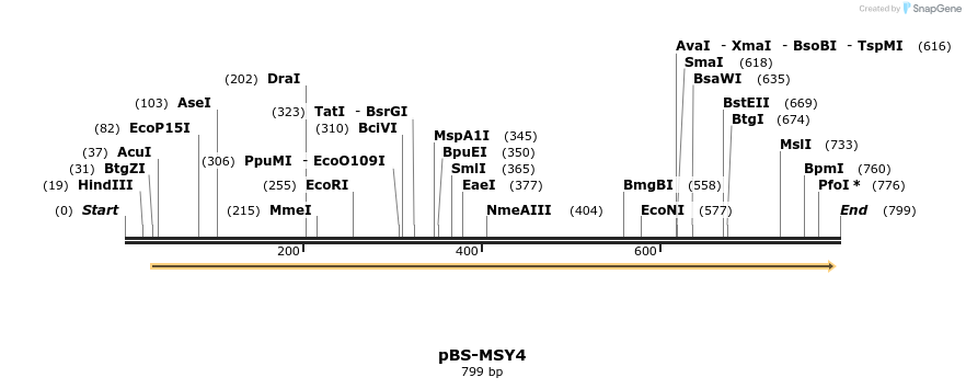 12273_map