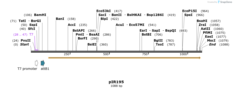 122737_map