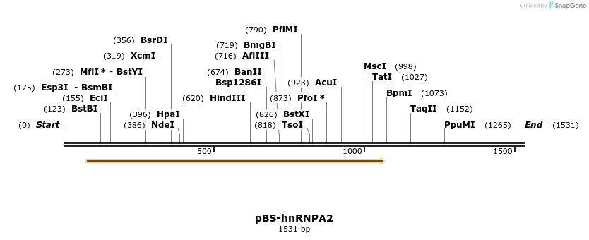 12275_map