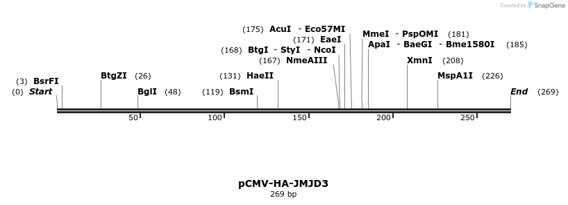 122769_map