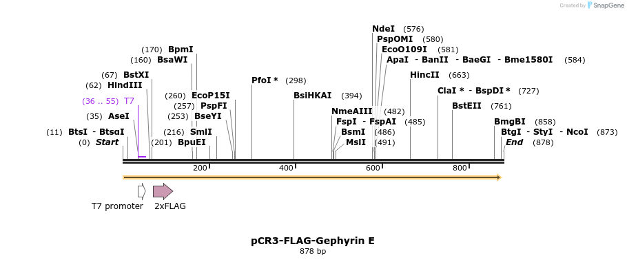 122773_map