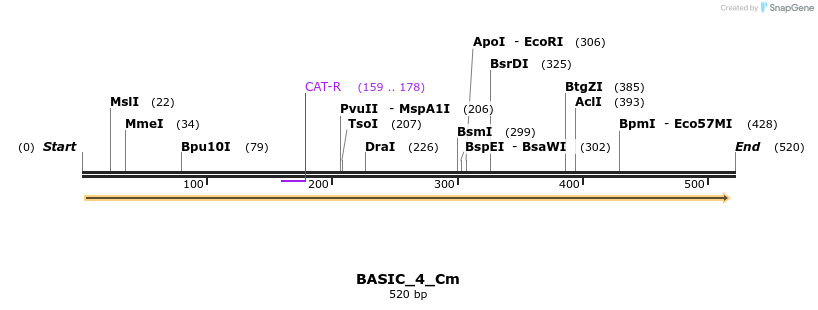 122774_map