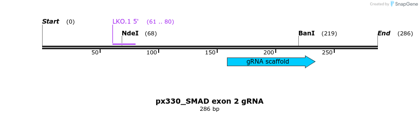 122780_map