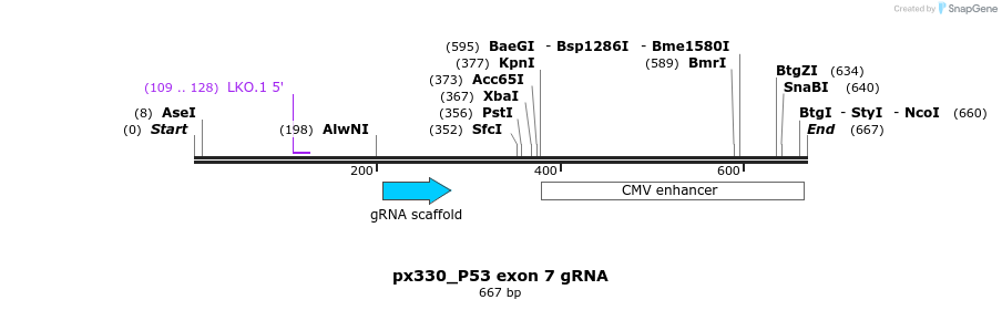 122781_map