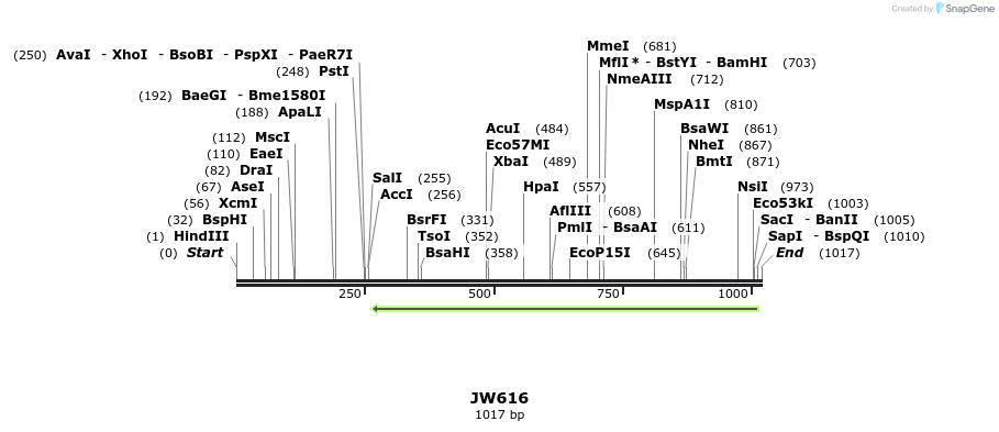 122790_map