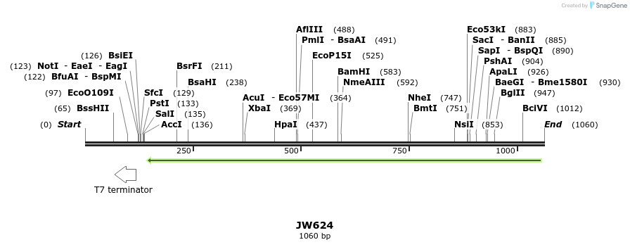 122791_map