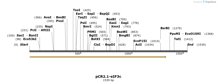 12281_map
