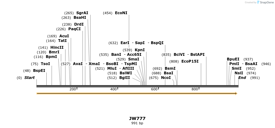 122812_map