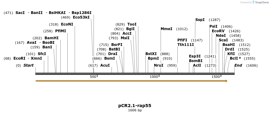 12282_map