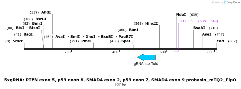 122832_map