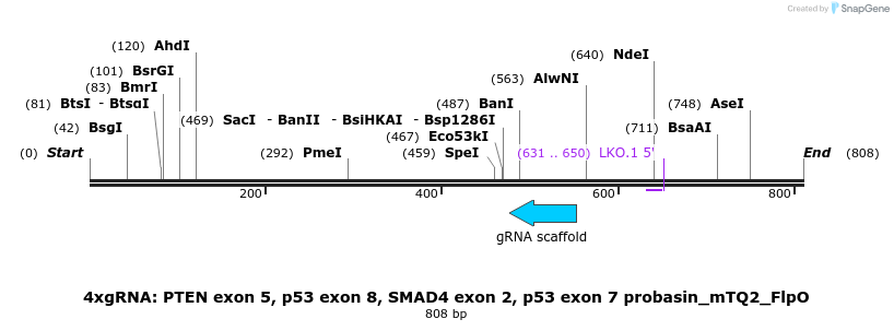 122834_map