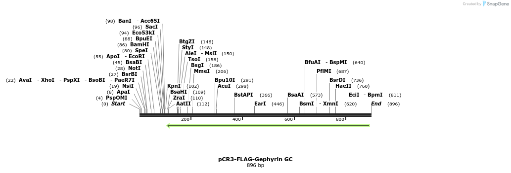 122841_map
