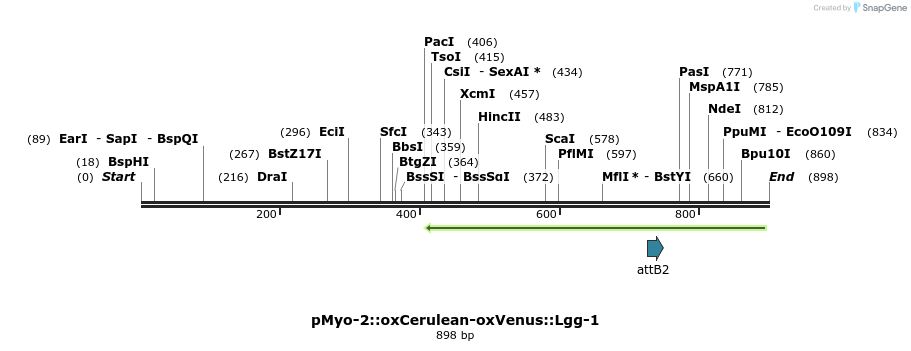 122843_map