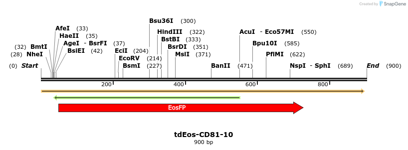 122844_map