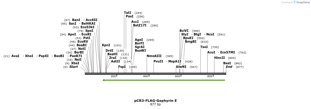 122846_map