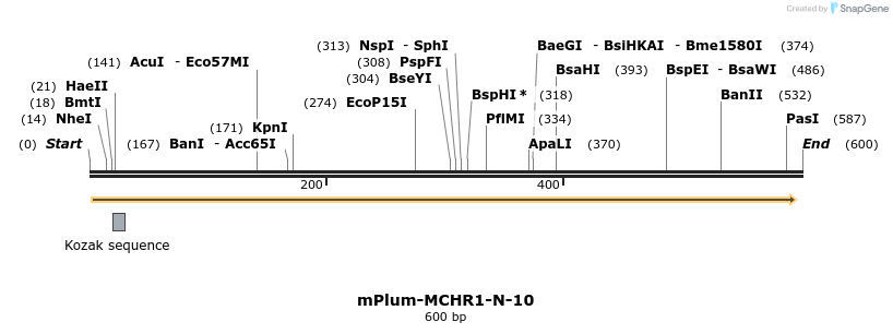122849_map