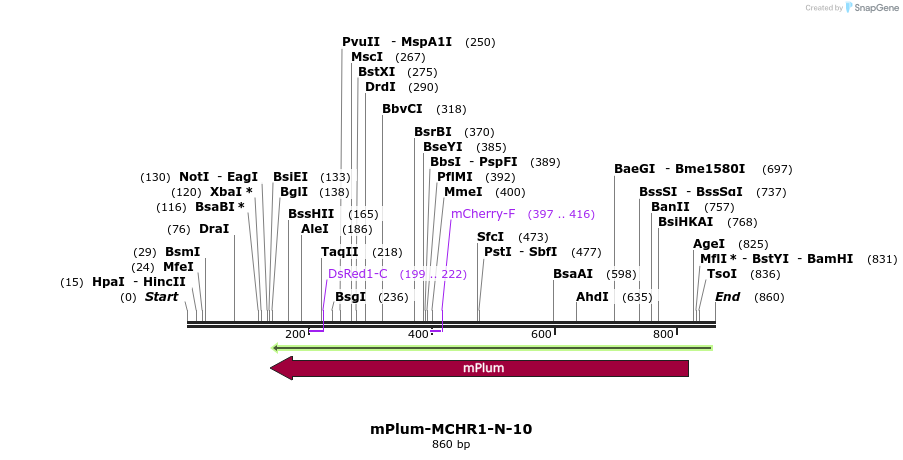 122850_map