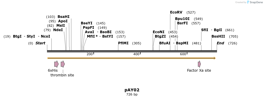122855_map