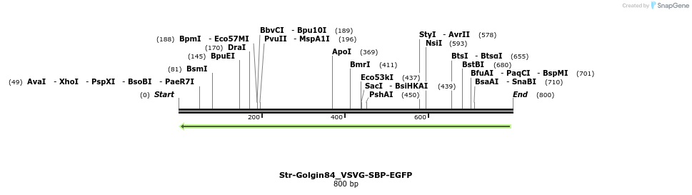 122856_map