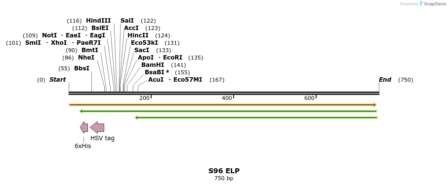 122863_map