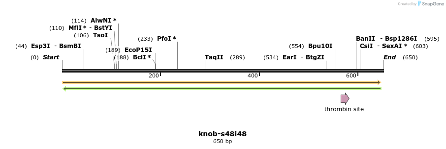 122867_map