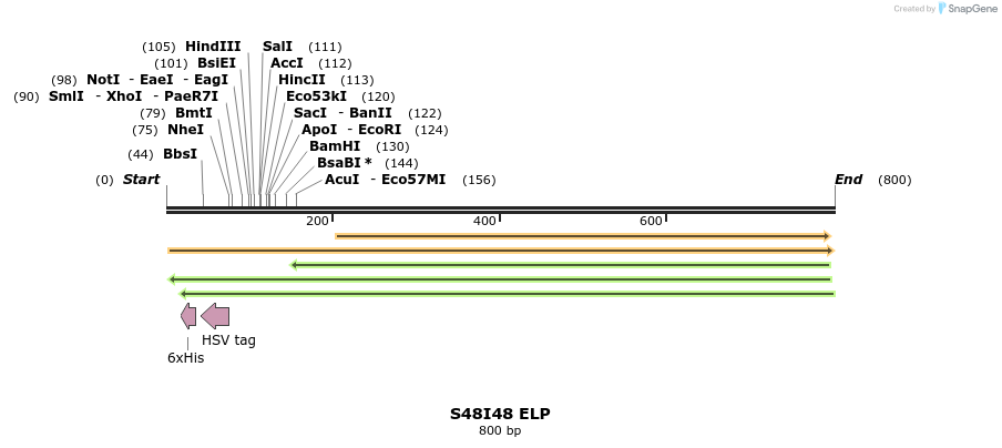 122874_map