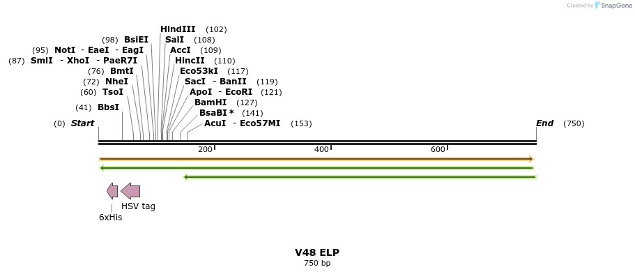 122882_map