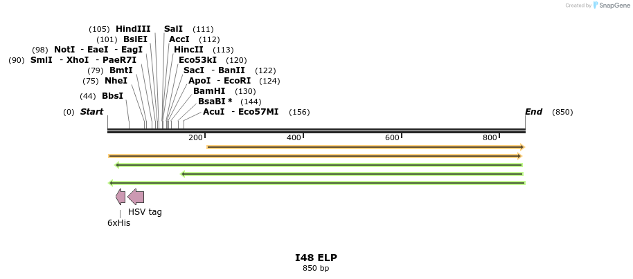 122885_map