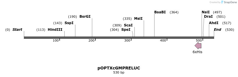 122891_map