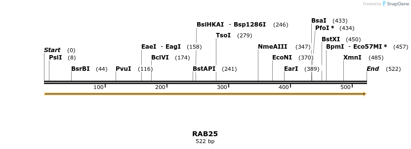 12290_map