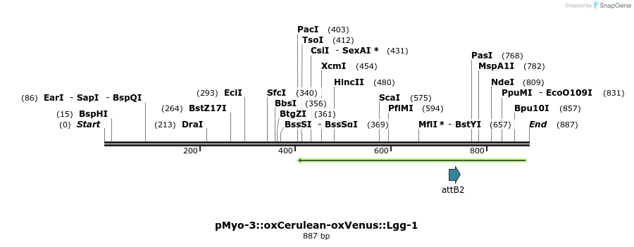 122905_map