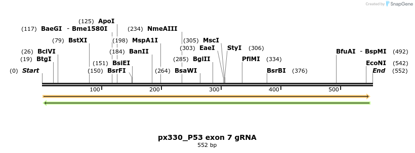 122906_map