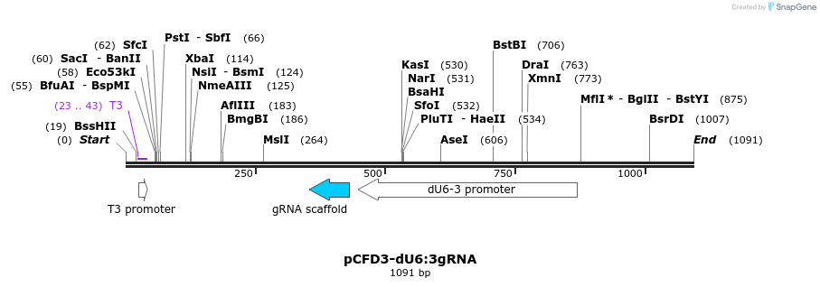 122914_map