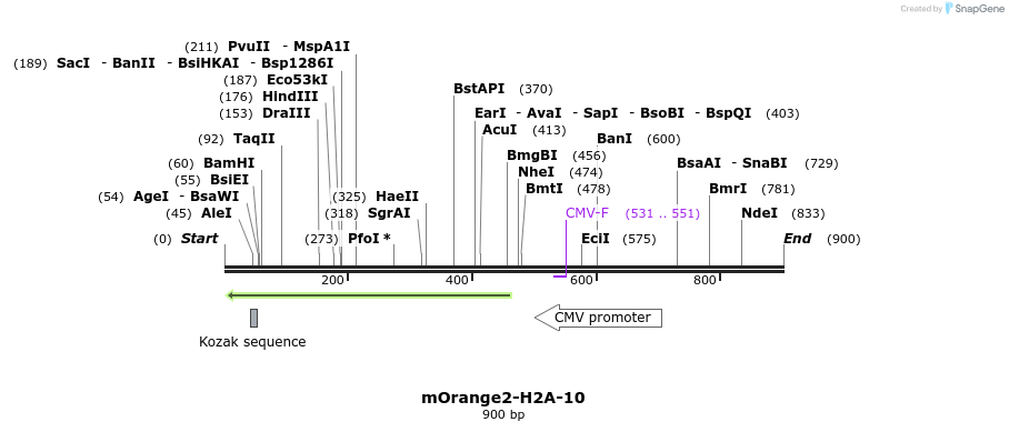 122925_map