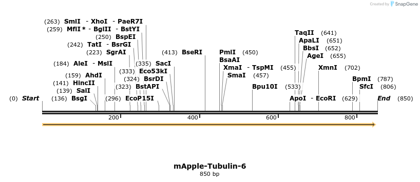 122928_map