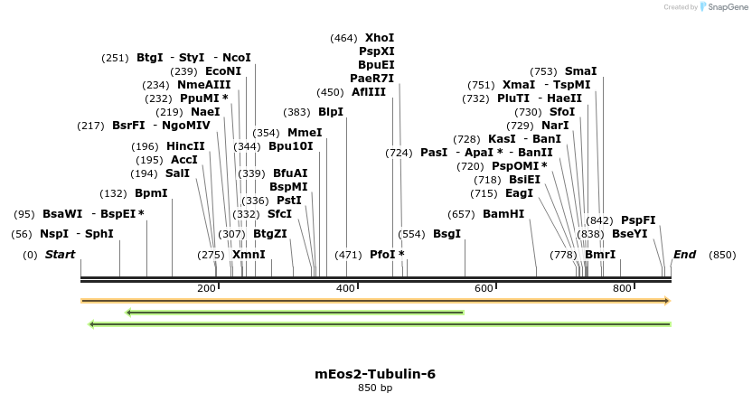 122930_map