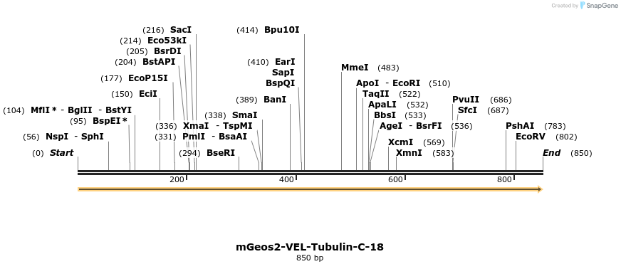122931_map