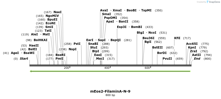 122932_map