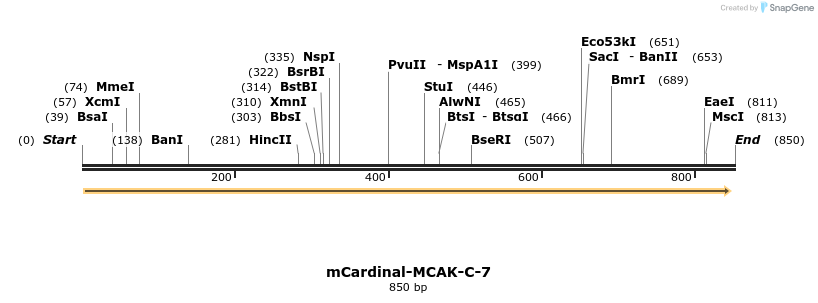 122935_map