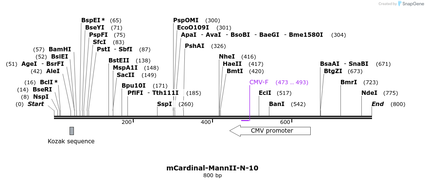 122937_map