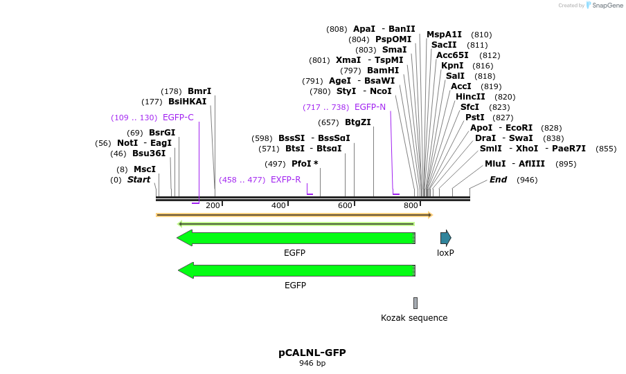 122939_map