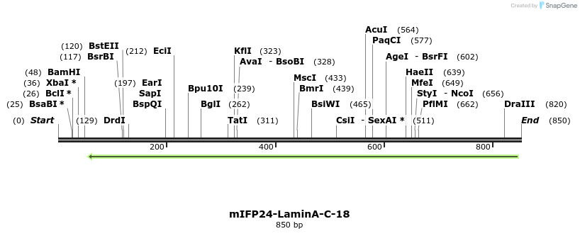 122941_map
