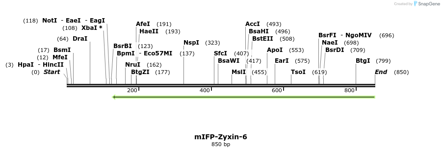 122951_map