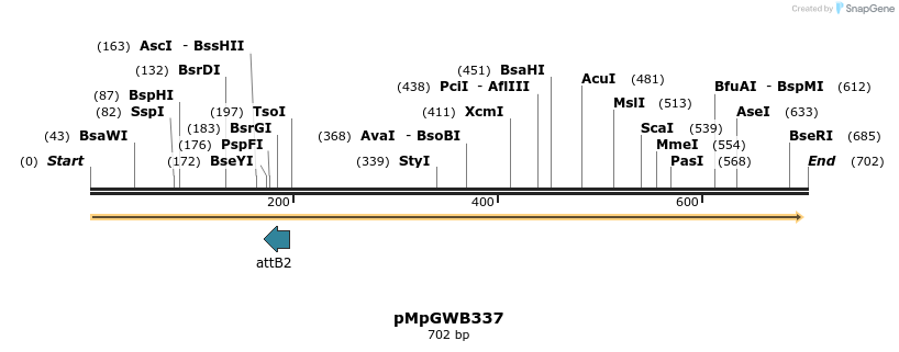 122955_map
