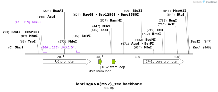 122956_map