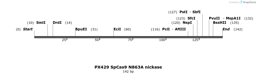 122965_map